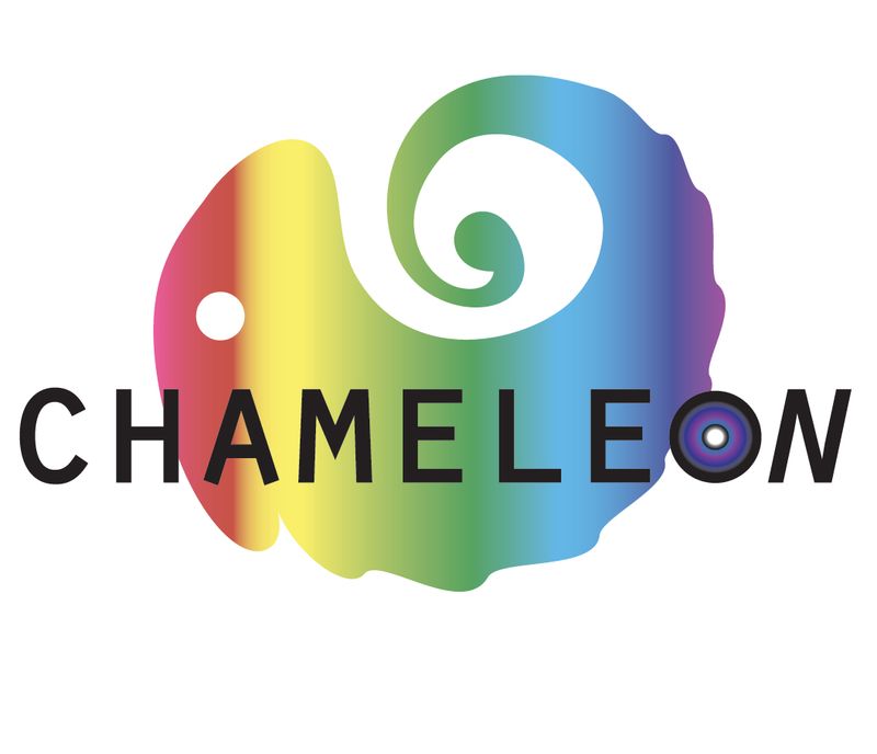 Chameleon Media